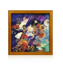Wood Vinyl Record Frame - Acorn